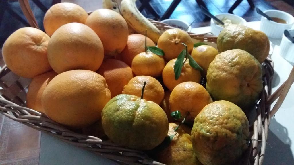 Pousada Três Coroas Екстериор снимка
